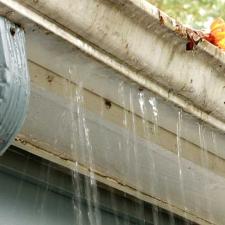 How Often Should You Get Your Gutters Cleaned? Why Bi-Annual Maintenance Is Important
