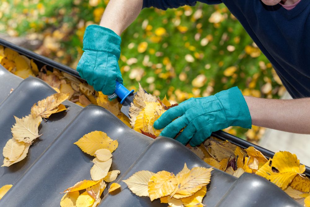 Gutter cleaning