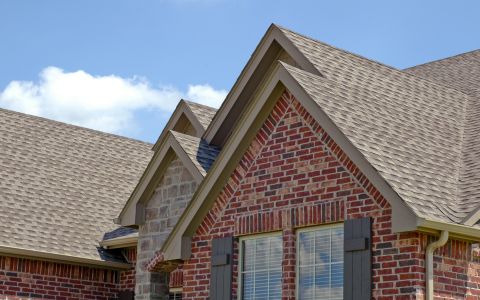 Roof cleaning